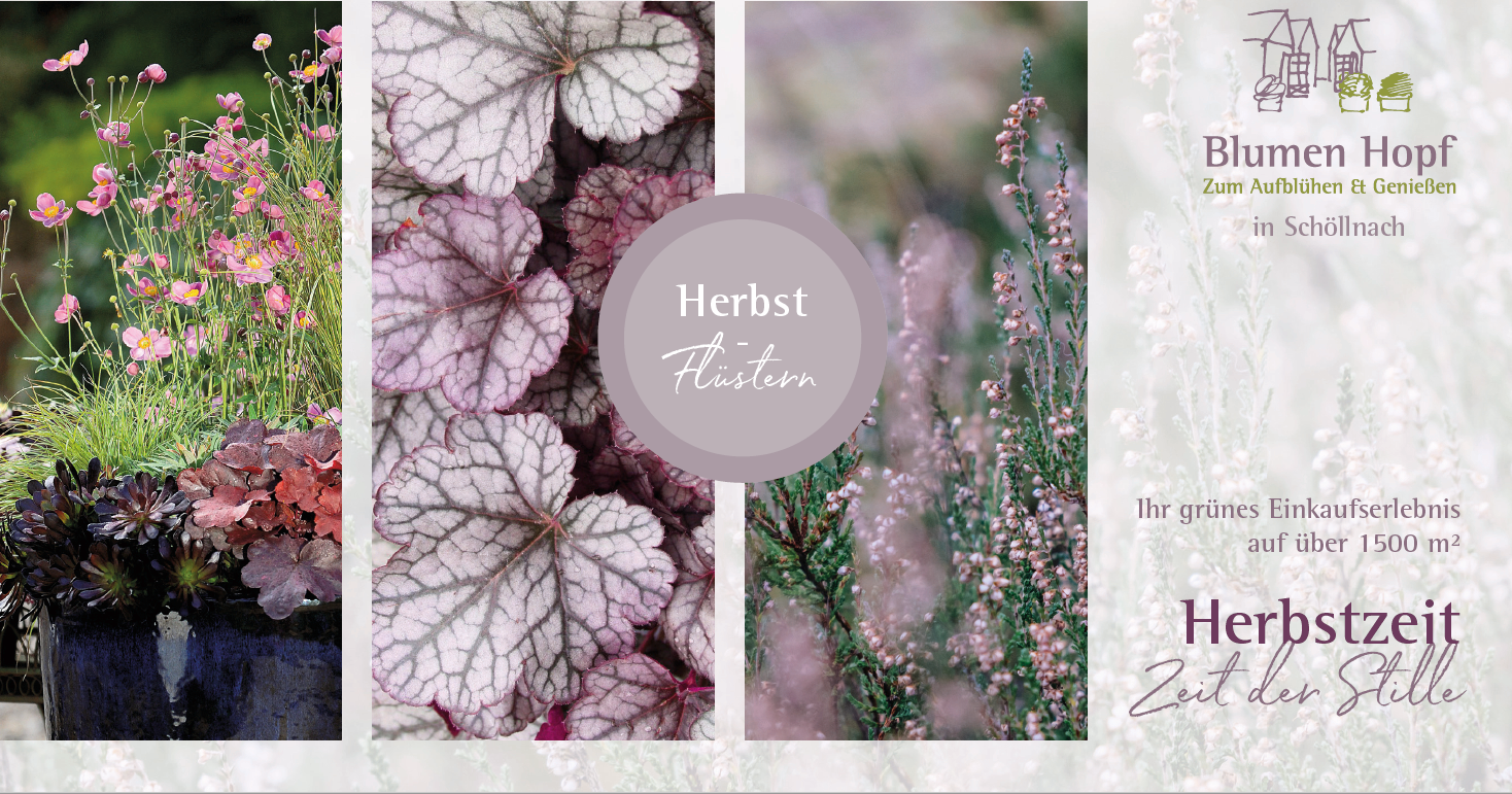 herbstflstern herbstflstern